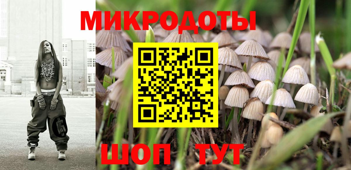 Обнинск  Галлюциногенные грибы Cubensis  Вход с VPN 