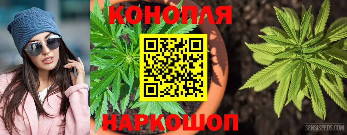 Канабис AK-47  Бошки марихуана Bruce Banner  Марихуана планчик  Обнинск  Бошки марихуана марихуана  Вход с VPN 